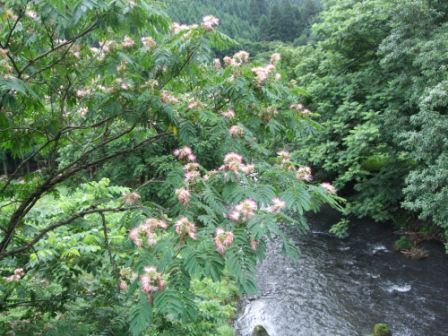 青春１８切符の旅　第一弾（前編）_e0138081_17403973.jpg