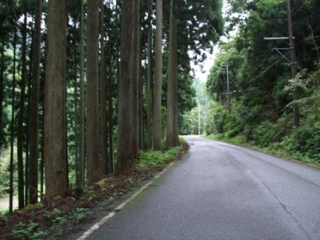 青春１８切符の旅　第一弾（前編）_e0138081_17473215.jpg