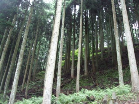 青春１８切符の旅　第一弾（前編）_e0138081_17474777.jpg