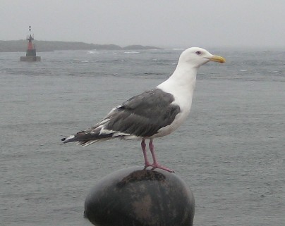 c0013687_23115931.jpg