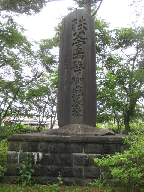 c0013687_2342936.jpg