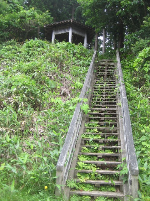 c0013687_2345881.jpg