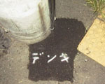 ●「デンキ」の伝記_d0053294_043730.jpg