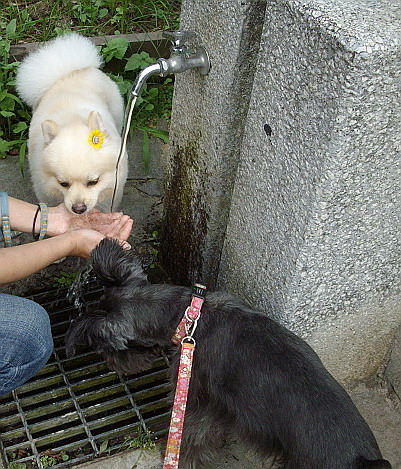 c0138198_2113769.jpg
