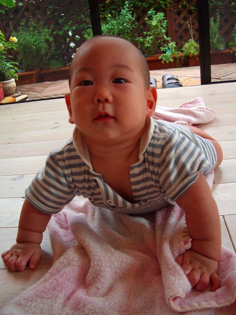 c0125702_2010241.jpg