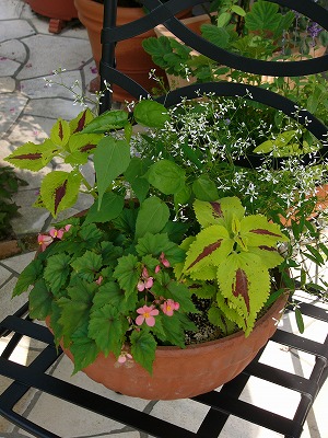 a0123003_17322875.jpg