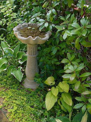 a0123003_17514456.jpg