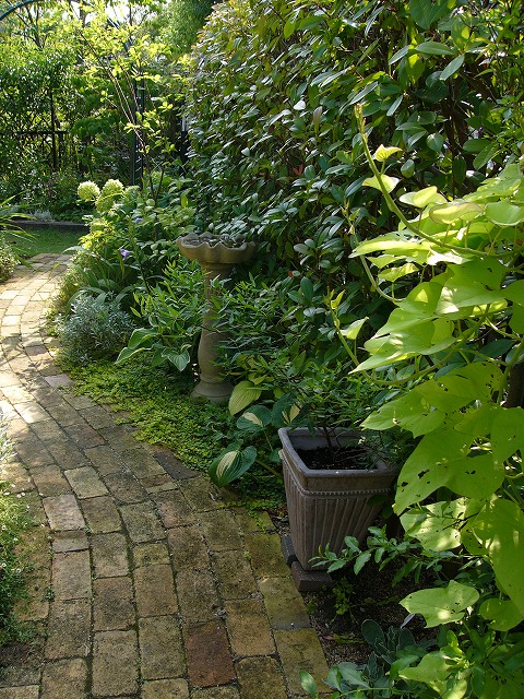 a0123003_17565985.jpg