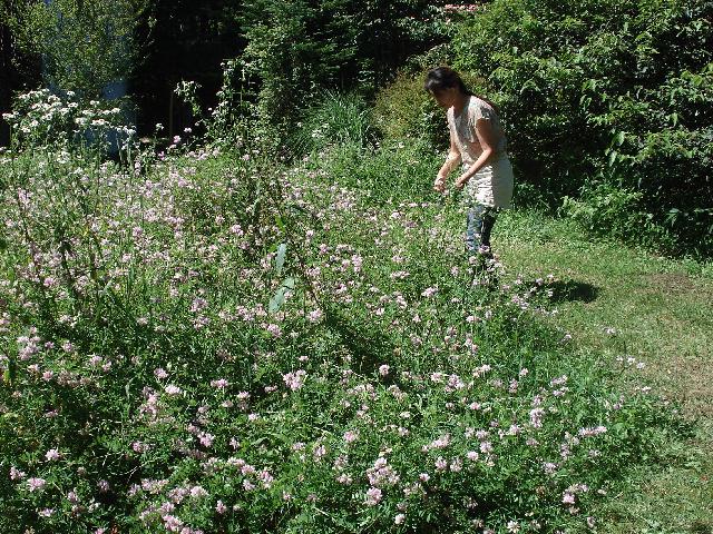 f0084806_6472060.jpg