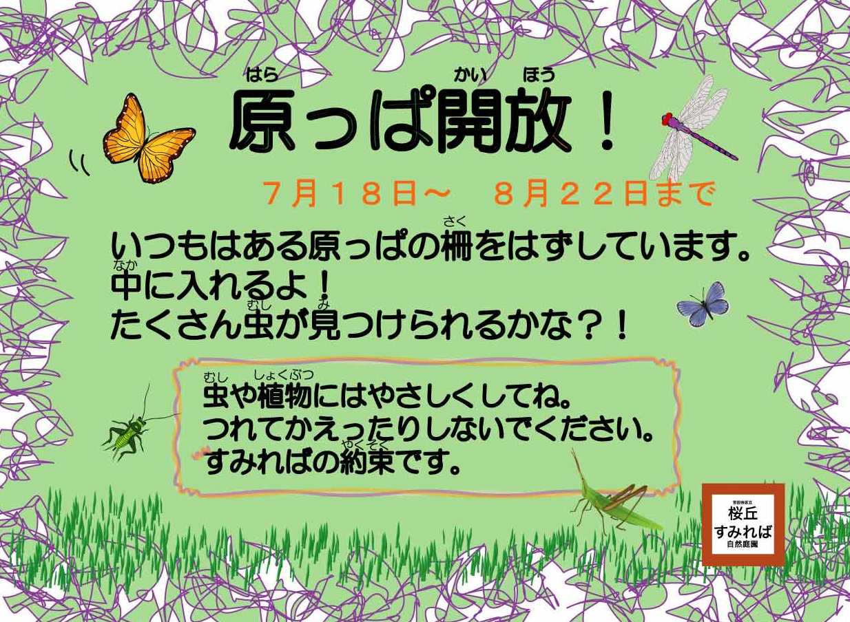 すみればの原っぱ開放！_b0049307_1427939.jpg