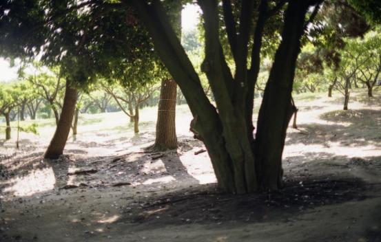 d0071507_19272671.jpg