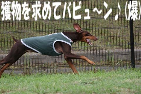 e0100007_20201361.jpg
