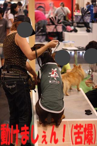 e0100007_2023667.jpg