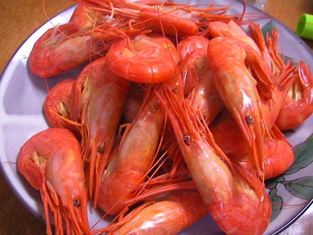 f0038407_1054545.jpg