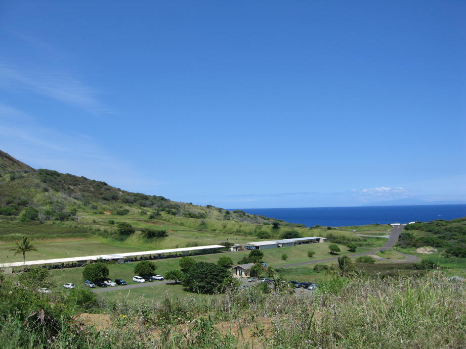 c0180009_1032817.jpg
