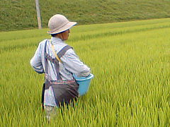 a0118120_12662.jpg