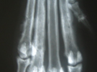 c0012120_17474782.jpg