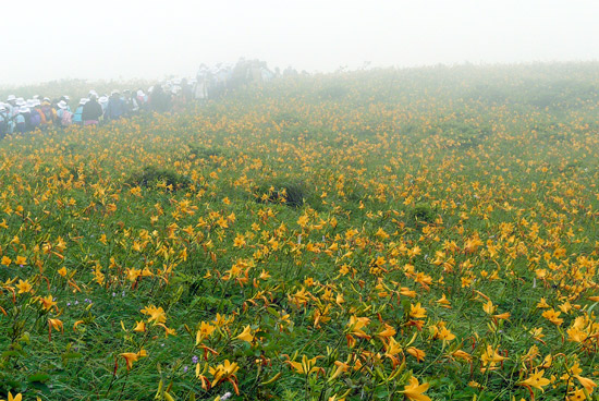 d0066822_86396.jpg