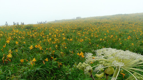 d0066822_88141.jpg