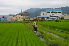 大阪から若い男性が越前市のワークステイに参加してくれました_e0061225_12275456.jpg