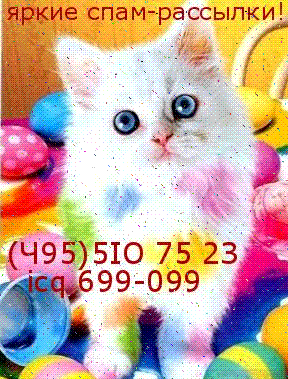 ロシアのおもしろ迷惑メール2(にゃんこシリーズ)_b0054727_237110.gif
