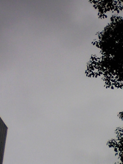 e0119327_1113011.jpg