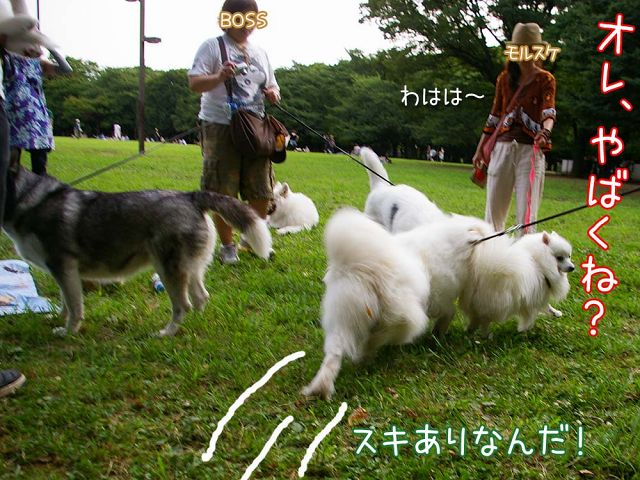 ω付きだよ！おっきな公園_c0062832_16201376.jpg