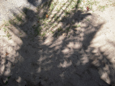 a0134136_012279.jpg