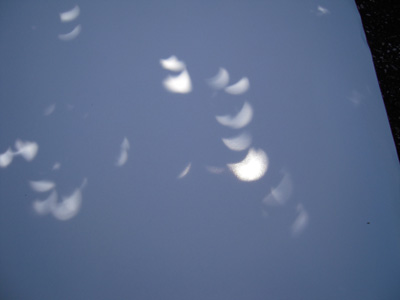 a0134136_084356.jpg