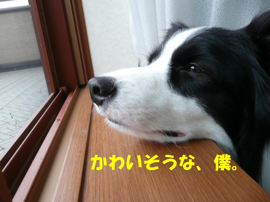 c0147241_0322420.jpg