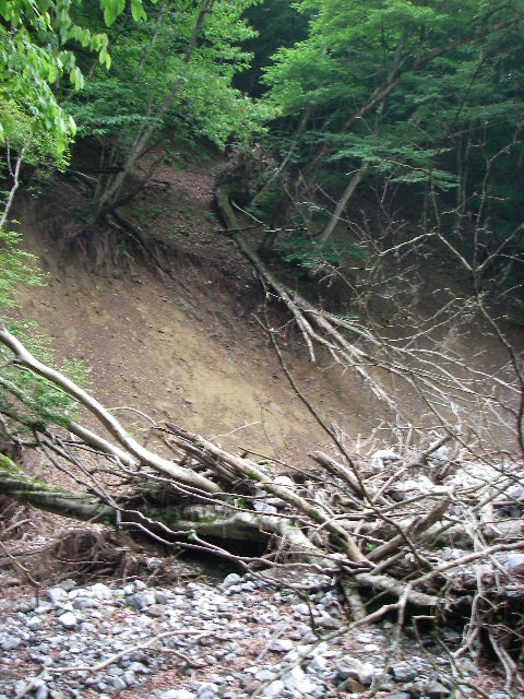 f0053342_19454964.jpg