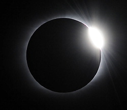 e0173743_8355427.jpg