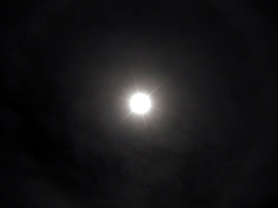 d0065247_1734031.jpg
