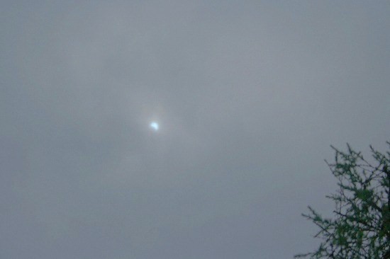 e0126350_041561.jpg