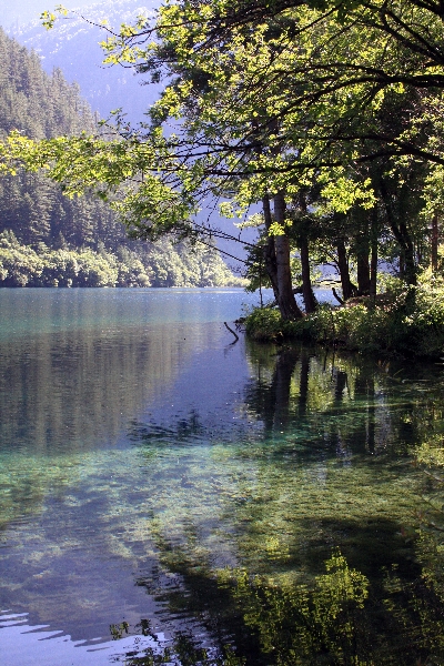 e0173358_119387.jpg