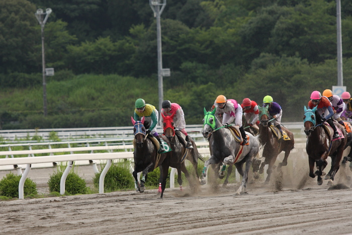 2009年7月19日（日） 高知競馬 11R 一発逆転 ファイナルレース D6 記者選抜_a0077663_18505142.jpg