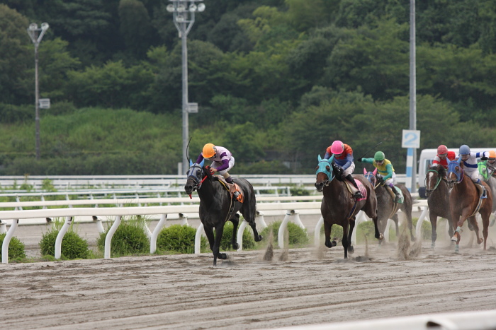 2009年7月19日（日） 高知競馬 11R 一発逆転 ファイナルレース D6 記者選抜_a0077663_18511599.jpg