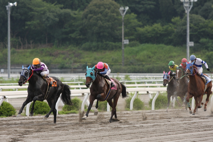 2009年7月19日（日） 高知競馬 11R 一発逆転 ファイナルレース D6 記者選抜_a0077663_18512370.jpg