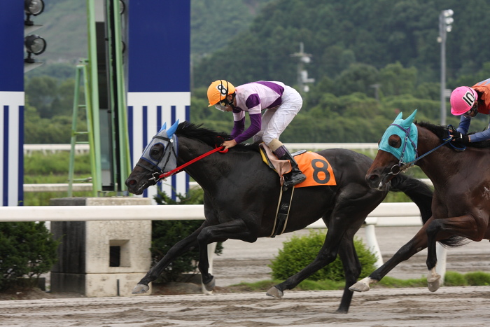 2009年7月19日(日) 高知競馬 11R 一発逆転 ファイナルレース D6 記者選抜_a0077663_18513049.jpg