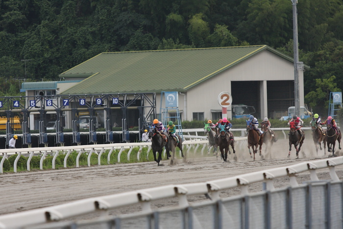 2009年7月19日（日） 高知競馬 11R 一発逆転 ファイナルレース D6 記者選抜_a0077663_1851754.jpg