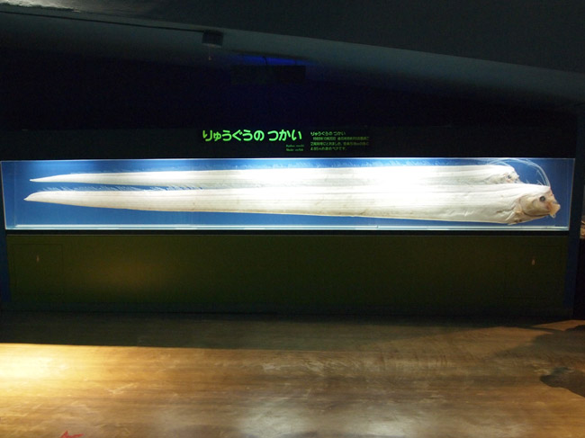 d0068664_22325933.jpg