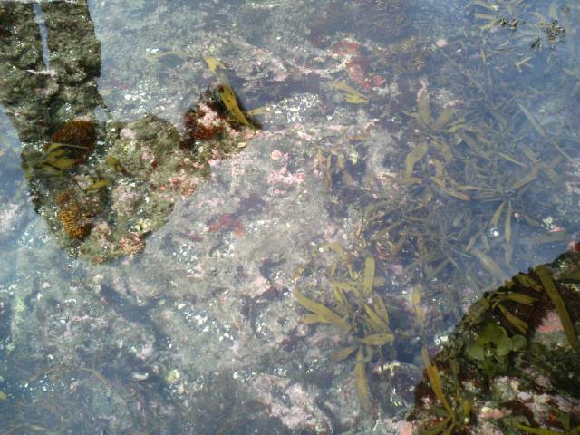 f0117673_2120116.jpg
