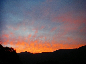 f0182173_1056196.jpg