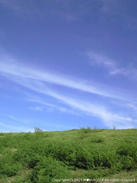 c0139375_14551028.jpg