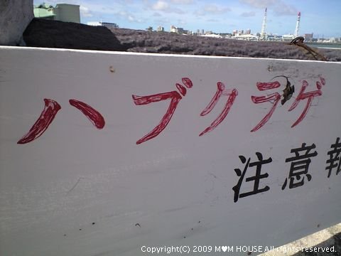 c0139375_14554260.jpg