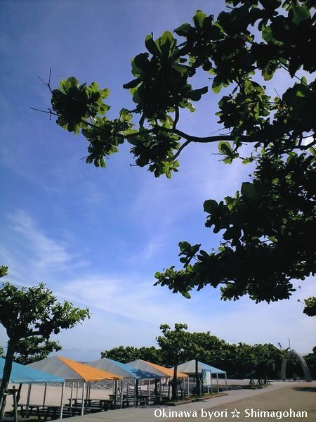c0139375_14574310.jpg