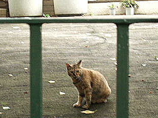 f0039281_92050.jpg