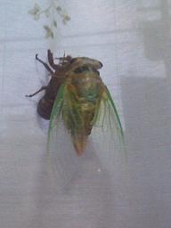 f0021982_20354440.jpg