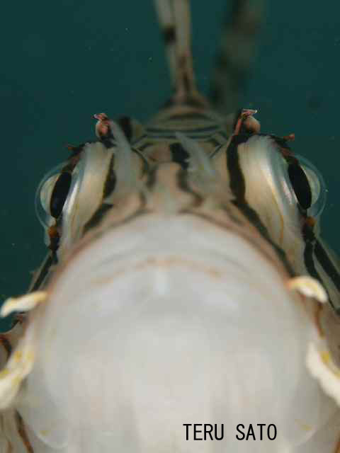 f0151886_1775045.jpg