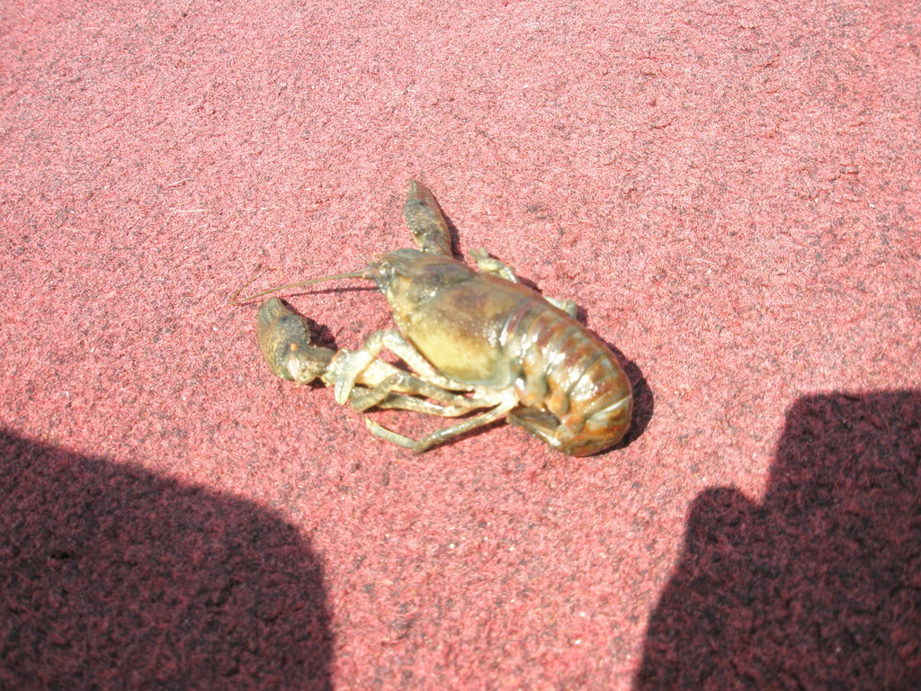 f0024887_90060.jpg